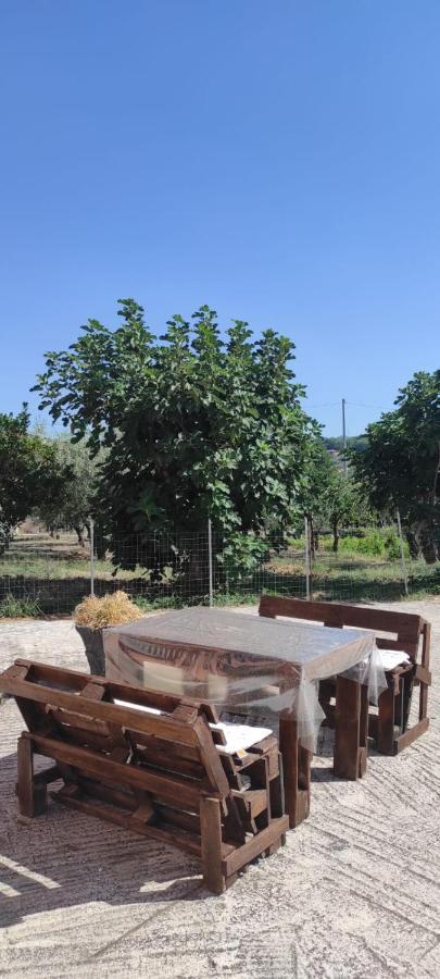 קמפובאסו Appartamento Tamburro מראה חיצוני תמונה
