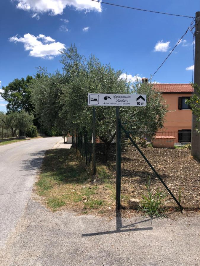 קמפובאסו Appartamento Tamburro מראה חיצוני תמונה